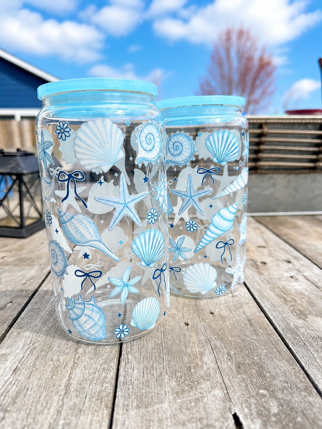 Serenity Seashell Collection